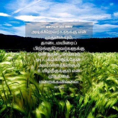 Picture 04 - ஏசாயா 50:6 TAMIRV -  - Bible Verse Picture