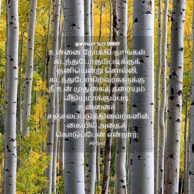 Picture 04 - ஏசாயா 51:23 TAMIRV - உன்னை நோக்கி: - Bible Verse Picture