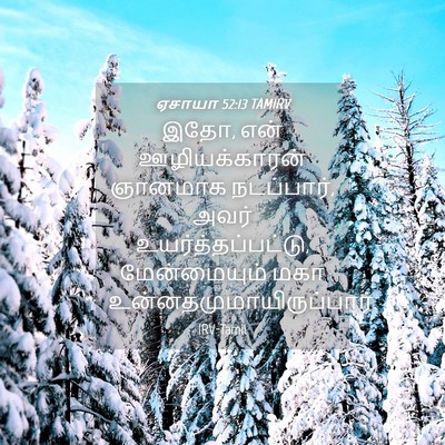 Picture 04 - ஏசாயா 52:13 TAMIRV - இதோ, என் - Bible Verse Picture