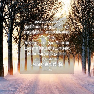 Picture 04 - ஏசாயா 52:2 TAMIRV - தூசியை உதறிவிட்டு - Bible Verse Picture