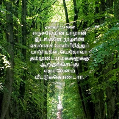 Picture 04 - ஏசாயா 52:9 TAMIRV - எருசலேமின் பாழான - Bible Verse Picture