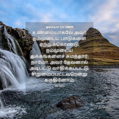 Picture 04 - ஏசாயா 53:4 TAMIRV - உண்மையாகவே அவர் - Bible Verse Picture
