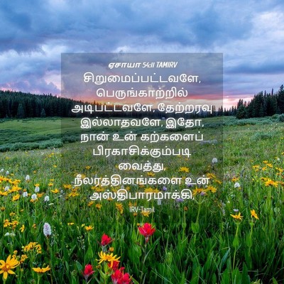 Picture 04 - ஏசாயா 54:11 TAMIRV - சிறுமைப்பட்டவளே, - Bible Verse Picture
