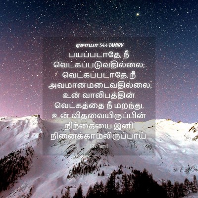 Picture 04 - ஏசாயா 54:4 TAMIRV - பயப்படாதே, நீ - Bible Verse Picture