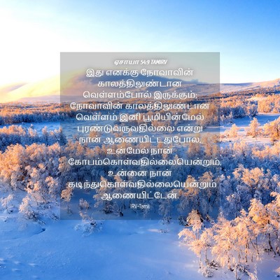 Picture 04 - ஏசாயா 54:9 TAMIRV - இது எனக்கு - Bible Verse Picture