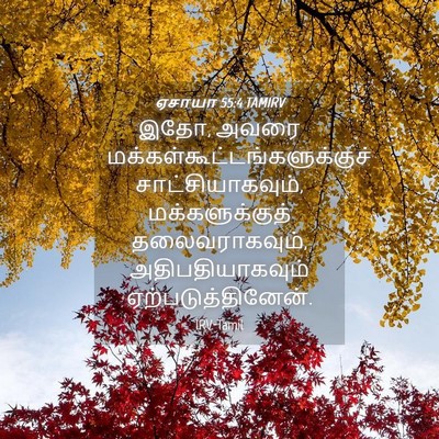 Picture 04 - ஏசாயா 55:4 TAMIRV - இதோ, அவரை - Bible Verse Picture