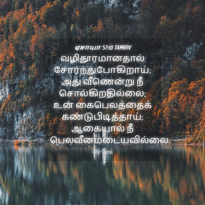 Picture 04 - ஏசாயா 57:10 TAMIRV - வழிதூரமானதால் - Bible Verse Picture