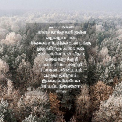 Picture 04 - ஏசாயா 57:6 TAMIRV -  - Bible Verse Picture