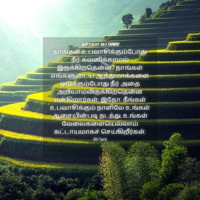 Picture 04 - ஏசாயா 58:3 TAMIRV - நாங்கள் - Bible Verse Picture