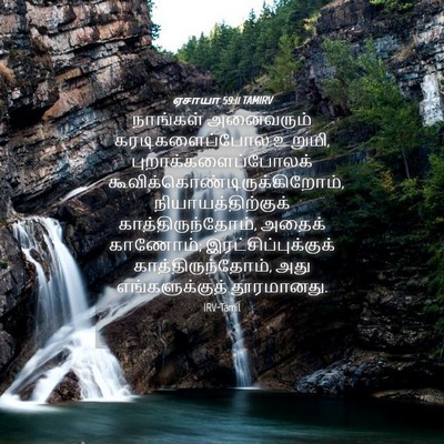 Picture 04 - ஏசாயா 59:11 TAMIRV - நாங்கள் அனைவரும் - Bible Verse Picture