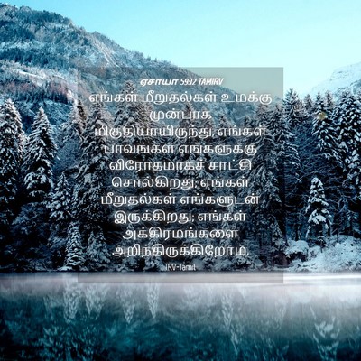 Picture 04 - ஏசாயா 59:12 TAMIRV - எங்கள் மீறுதல்கள் - Bible Verse Picture