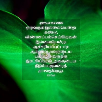 Picture 04 - ஏசாயா 59:16 TAMIRV - ஒருவரும் - Bible Verse Picture