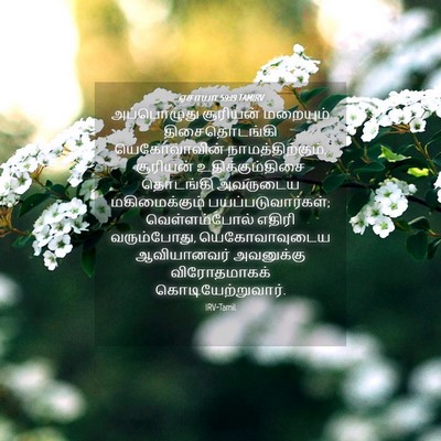 Picture 04 - ஏசாயா 59:19 TAMIRV - அப்பொழுது சூரியன் - Bible Verse Picture
