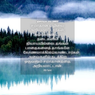 Picture 04 - ஏசாயா 59:8 TAMIRV - சமாதான வழியை - Bible Verse Picture