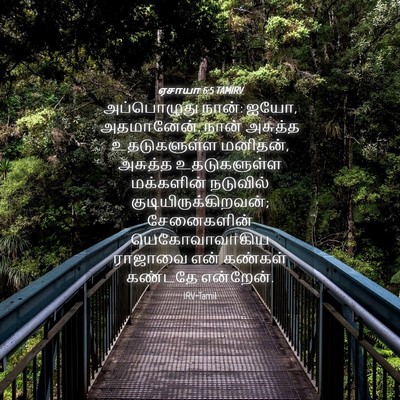 Picture 04 - ஏசாயா 6:5 TAMIRV - அப்பொழுது நான்: - Bible Verse Picture