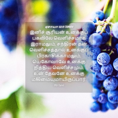 Picture 04 - ஏசாயா 60:19 TAMIRV - இனிச் சூரியன் - Bible Verse Picture