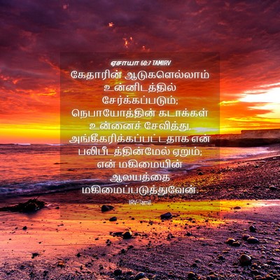 Picture 04 - ஏசாயா 60:7 TAMIRV - கேதாரின் - Bible Verse Picture