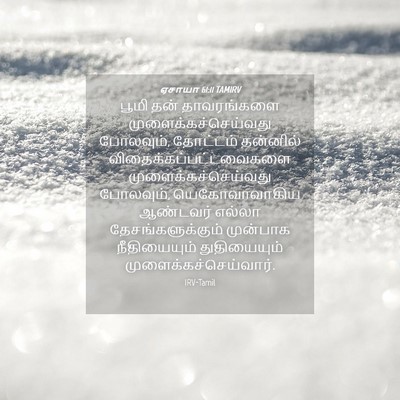 Picture 04 - ஏசாயா 61:11 TAMIRV - பூமி தன் - Bible Verse Picture