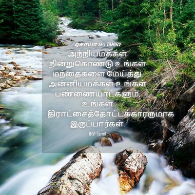 Picture 04 - ஏசாயா 61:5 TAMIRV - அந்நியமக்கள் - Bible Verse Picture