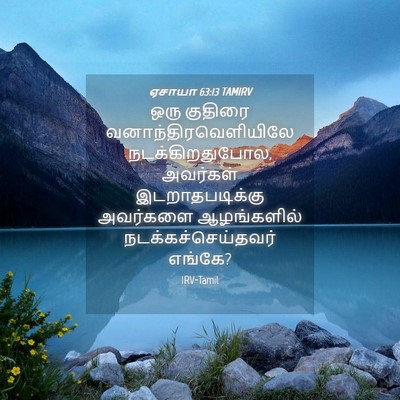 Picture 04 - ஏசாயா 63:13 TAMIRV - ஒரு குதிரை - Bible Verse Picture