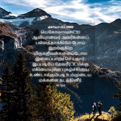 Picture 04 - ஏசாயா 63:14 TAMIRV - யெகோவாவுடைய - Bible Verse Picture