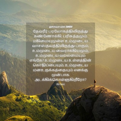 Picture 04 - ஏசாயா 63:15 TAMIRV - தேவரீர் - Bible Verse Picture