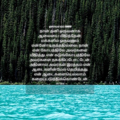Picture 04 - ஏசாயா 63:3 TAMIRV - நான் தனி ஒருவனாக - Bible Verse Picture