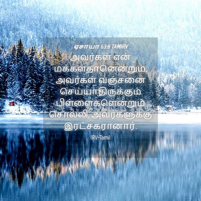 Picture 04 - ஏசாயா 63:8 TAMIRV - அவர்கள் என் - Bible Verse Picture