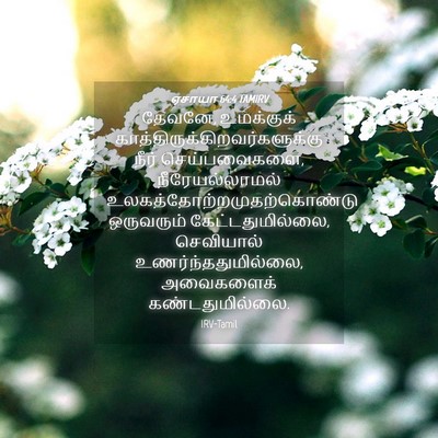 Picture 04 - ஏசாயா 64:4 TAMIRV - தேவனே, உமக்குக் - Bible Verse Picture