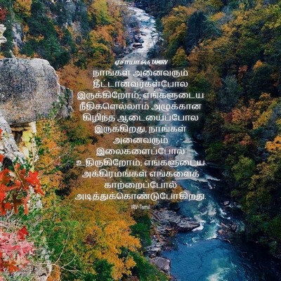 Picture 04 - ஏசாயா 64:6 TAMIRV - நாங்கள் அனைவரும் - Bible Verse Picture