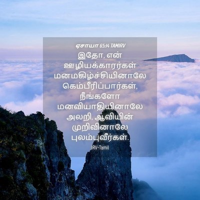 Picture 04 - ஏசாயா 65:14 TAMIRV - இதோ, என் - Bible Verse Picture