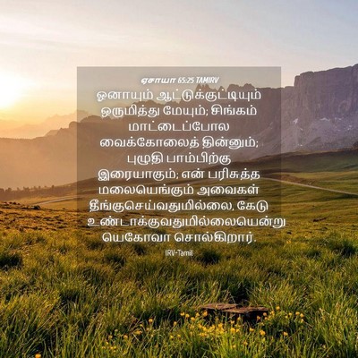 Picture 04 - ஏசாயா 65:25 TAMIRV - ஓனாயும் - Bible Verse Picture