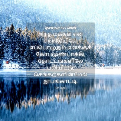 Picture 04 - ஏசாயா 65:3 TAMIRV - அந்த மக்கள் என் - Bible Verse Picture