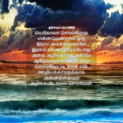 Picture 04 - ஏசாயா 65:8 TAMIRV - யெகோவா சொல்கிறது - Bible Verse Picture
