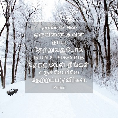 Picture 04 - ஏசாயா 66:13 TAMIRV - ஒருவனை அவன் தாய் - Bible Verse Picture