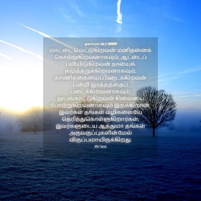 Picture 04 - ஏசாயா 66:3 TAMIRV - மாட்டை - Bible Verse Picture
