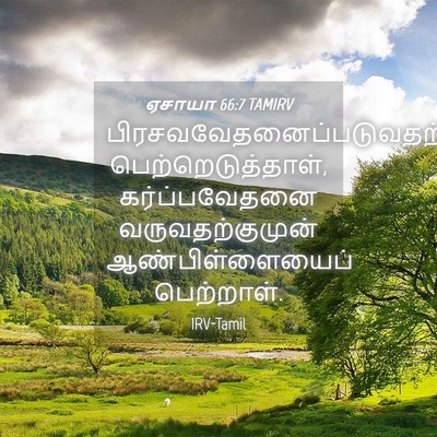 Picture 04 - ஏசாயா 66:7 TAMIRV -  - Bible Verse Picture