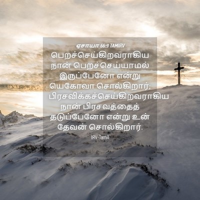 Picture 04 - ஏசாயா 66:9 TAMIRV -  - Bible Verse Picture