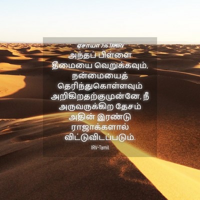 Picture 04 - ஏசாயா 7:16 TAMIRV - அந்தப் பிள்ளை - Bible Verse Picture