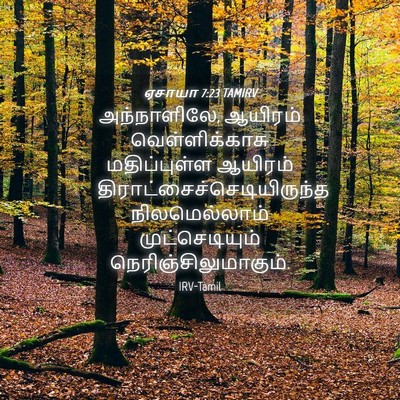 Picture 04 - ஏசாயா 7:23 TAMIRV - அந்நாளிலே, ஆயிரம் - Bible Verse Picture
