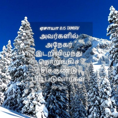 Picture 04 - ஏசாயா 8:15 TAMIRV - அவர்களில் அநேகர் - Bible Verse Picture