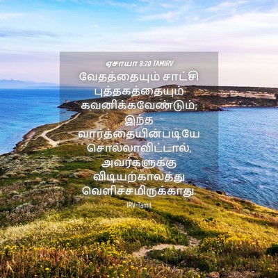 Picture 04 - ஏசாயா 8:20 TAMIRV - வேதத்தையும் - Bible Verse Picture