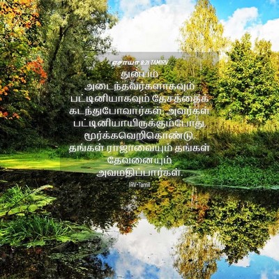 Picture 04 - ஏசாயா 8:21 TAMIRV - துன்பம் - Bible Verse Picture