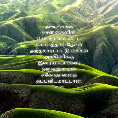 Picture 04 - ஏசாயா 9:19 TAMIRV - சேனைகளின் - Bible Verse Picture