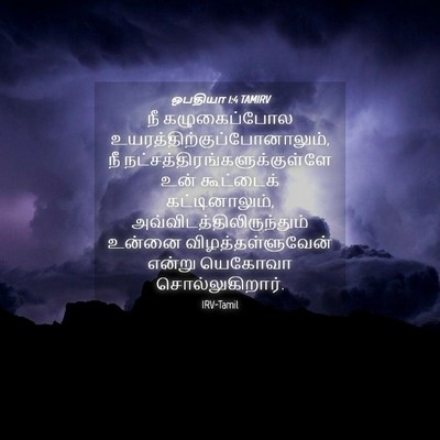 Picture 04 - ஒபதியா 1:4 TAMIRV - நீ கழுகைப்போல - Bible Verse Picture