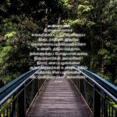 Picture 04 - ஒபதியா 1:5 TAMIRV - நீ எவ்வளவாகச் - Bible Verse Picture