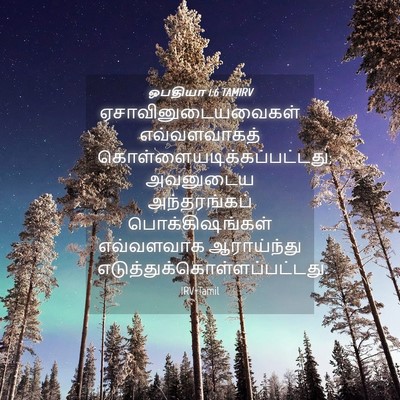 Picture 04 - ஒபதியா 1:6 TAMIRV - ஏசாவினுடையவைகள் - Bible Verse Picture