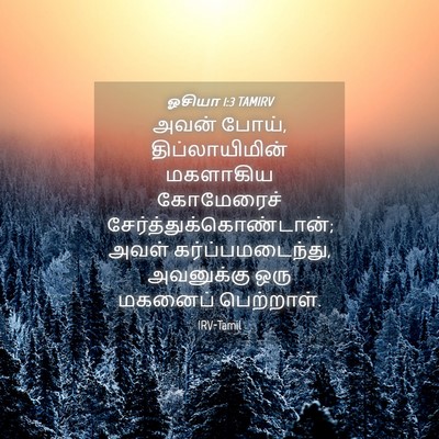Picture 04 - ஓசியா 1:3 TAMIRV - அவன் போய், - Bible Verse Picture
