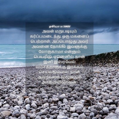 Picture 04 - ஓசியா 1:6 TAMIRV - அவள் மறுபடியும் - Bible Verse Picture