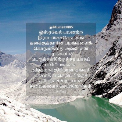 Picture 04 - ஓசியா 10:1 TAMIRV - இஸ்ரவேல் பலனற்ற - Bible Verse Picture